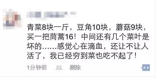 香菜16.8元/斤?!郑州菜价上涨真正的原因是……啥时候回落?