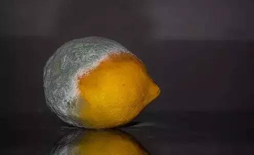 食物只烂了一点点,到底有没有毒,还能不能吃?
