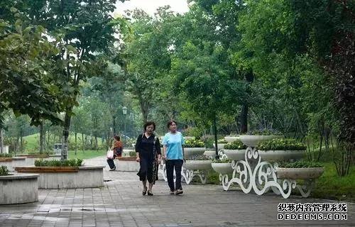 发现没?郑州紫荆山公园、碧沙岗公园等都变了……