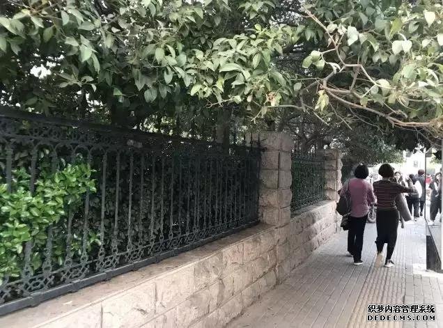 发现没?郑州紫荆山公园、碧沙岗公园等都变了……