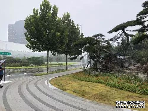 发现没?郑州紫荆山公园、碧沙岗公园等都变了……