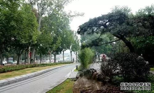 发现没?郑州紫荆山公园、碧沙岗公园等都变了……