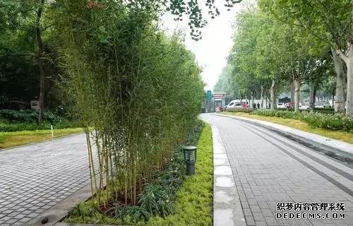 发现没?郑州紫荆山公园、碧沙岗公园等都变了……