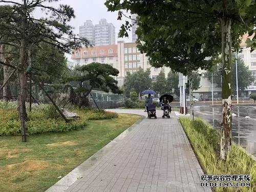 发现没?郑州紫荆山公园、碧沙岗公园等都变了……