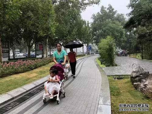 发现没?郑州紫荆山公园、碧沙岗公园等都变了……