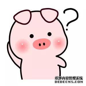 满足这些条件,直接提前退休领养老金